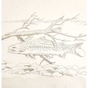 1960-70s Original Art Pencil Drawing Trout Fish Swimming OOAK Unsigned DWWW14